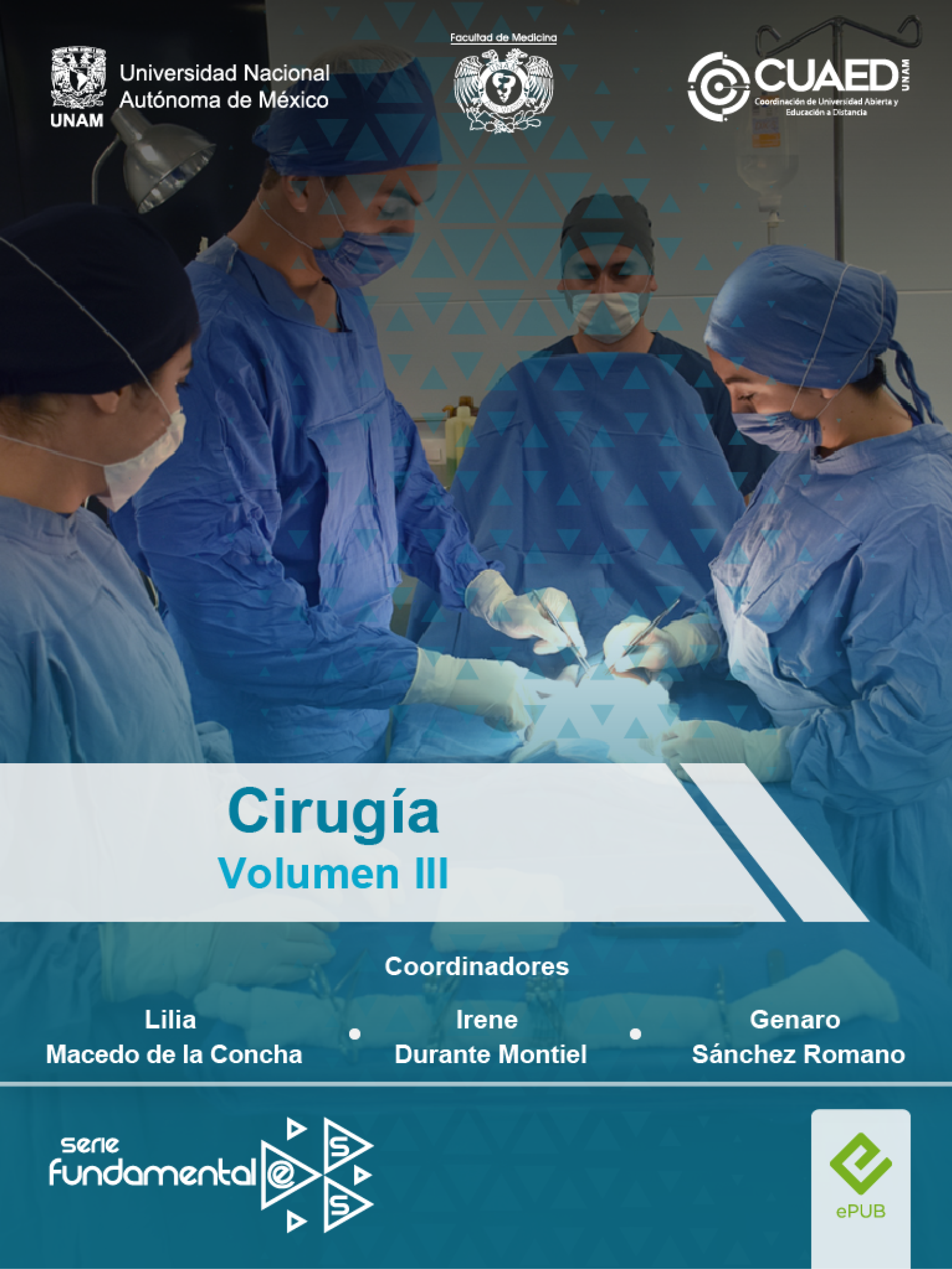 Imagen del curso