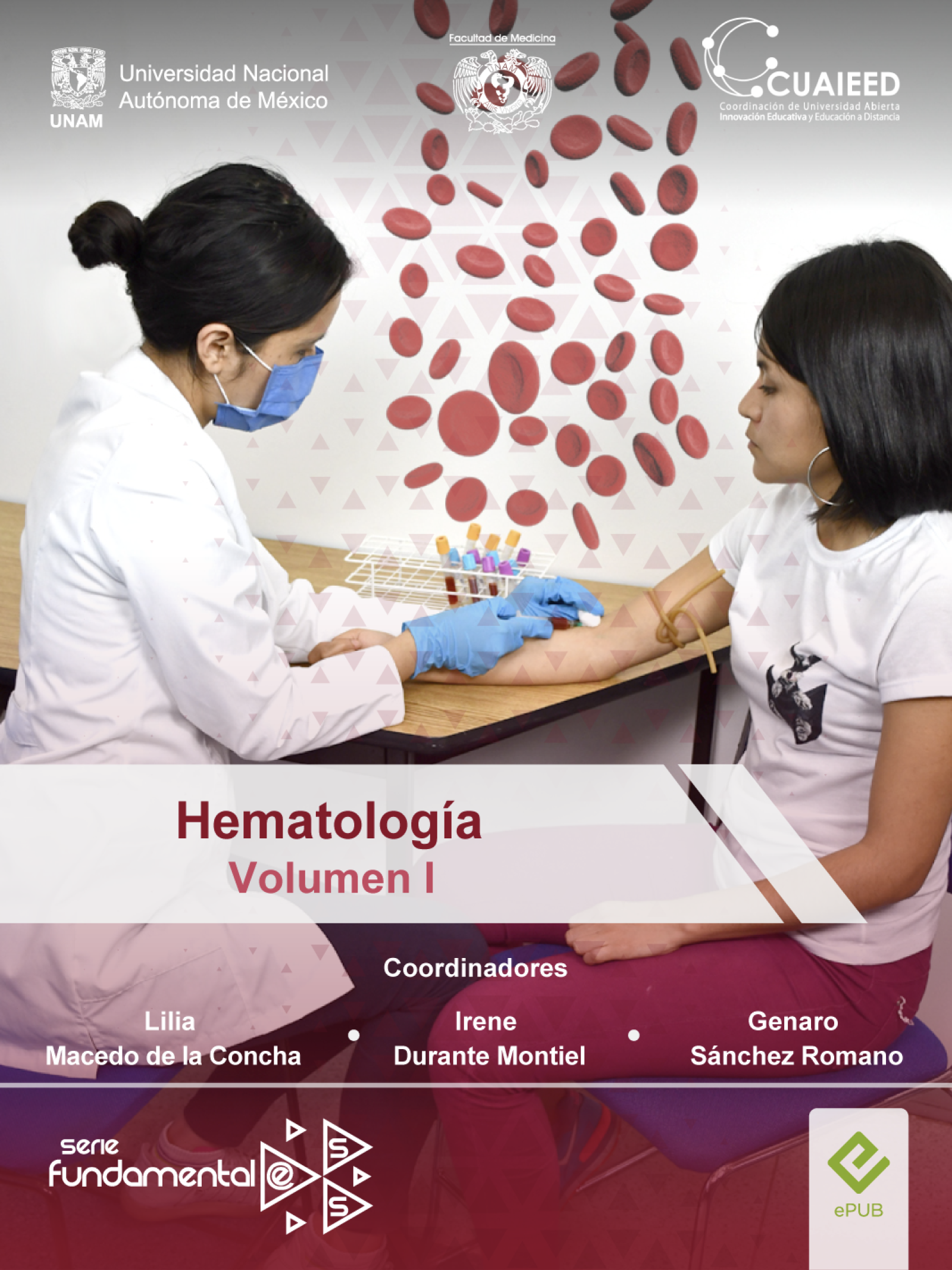 Imagen del curso