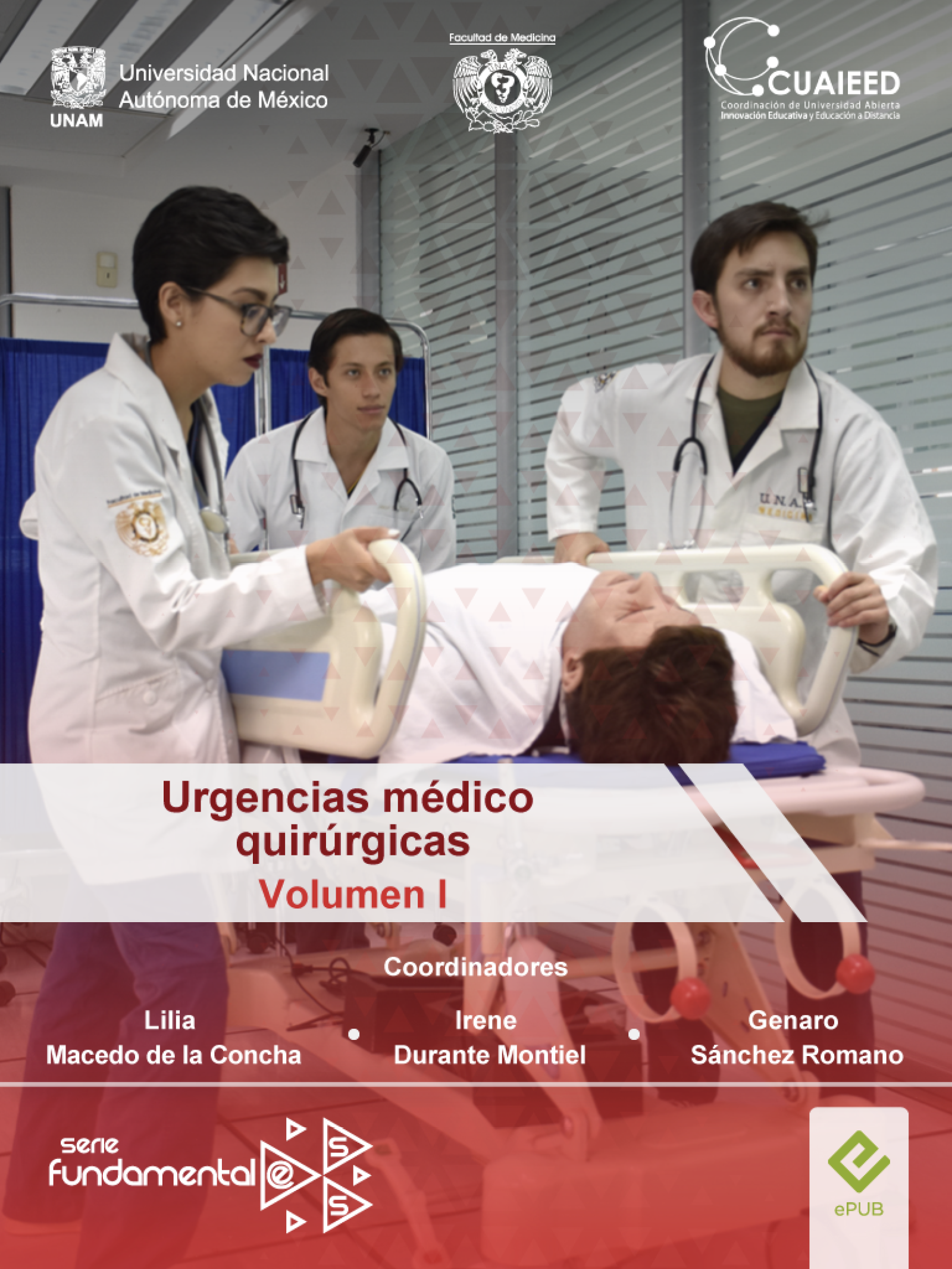 Imagen del curso