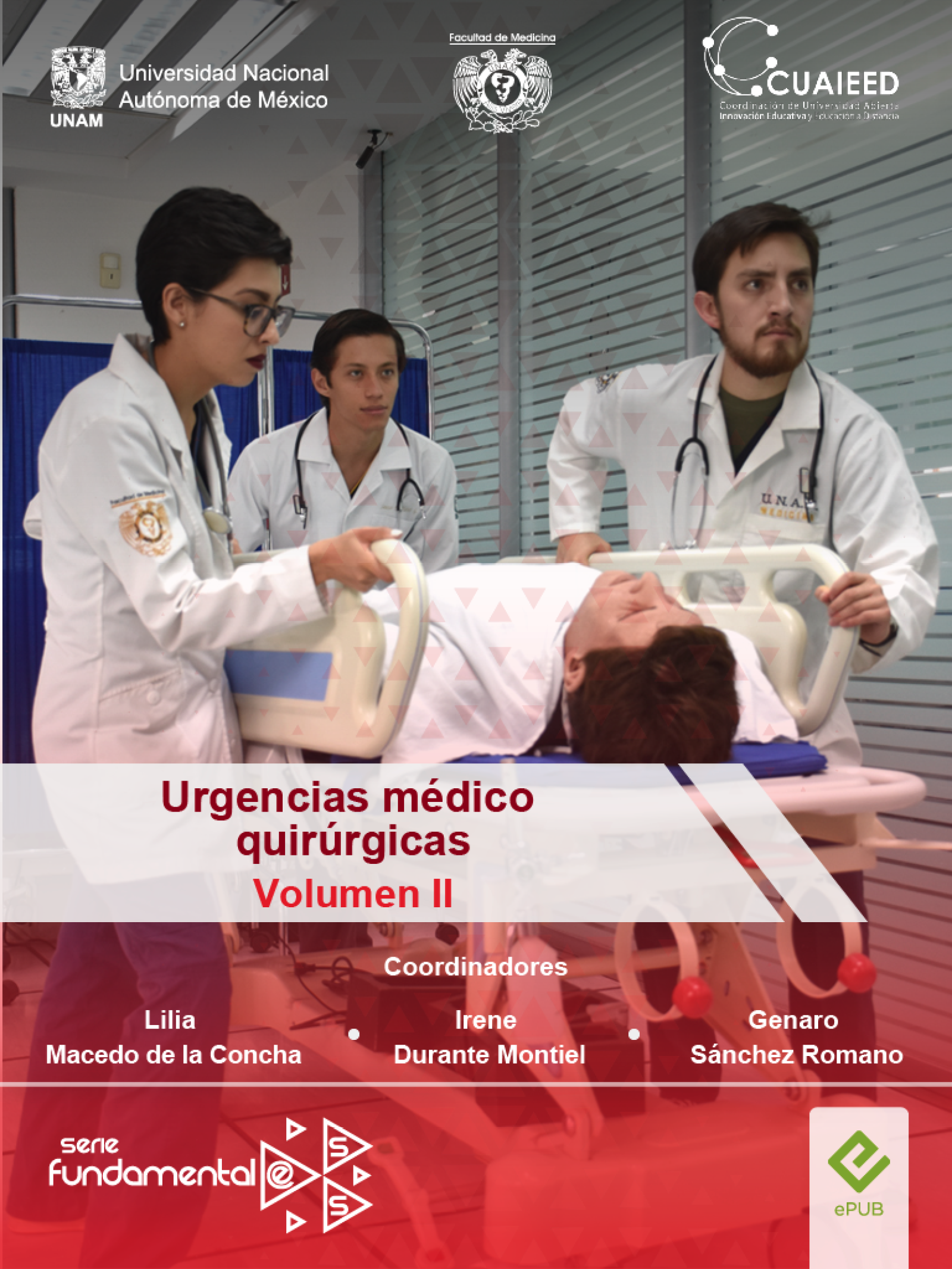 Imagen del curso