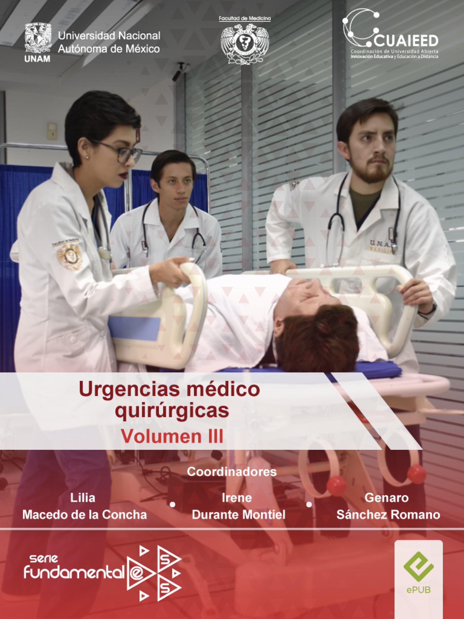Imagen del curso