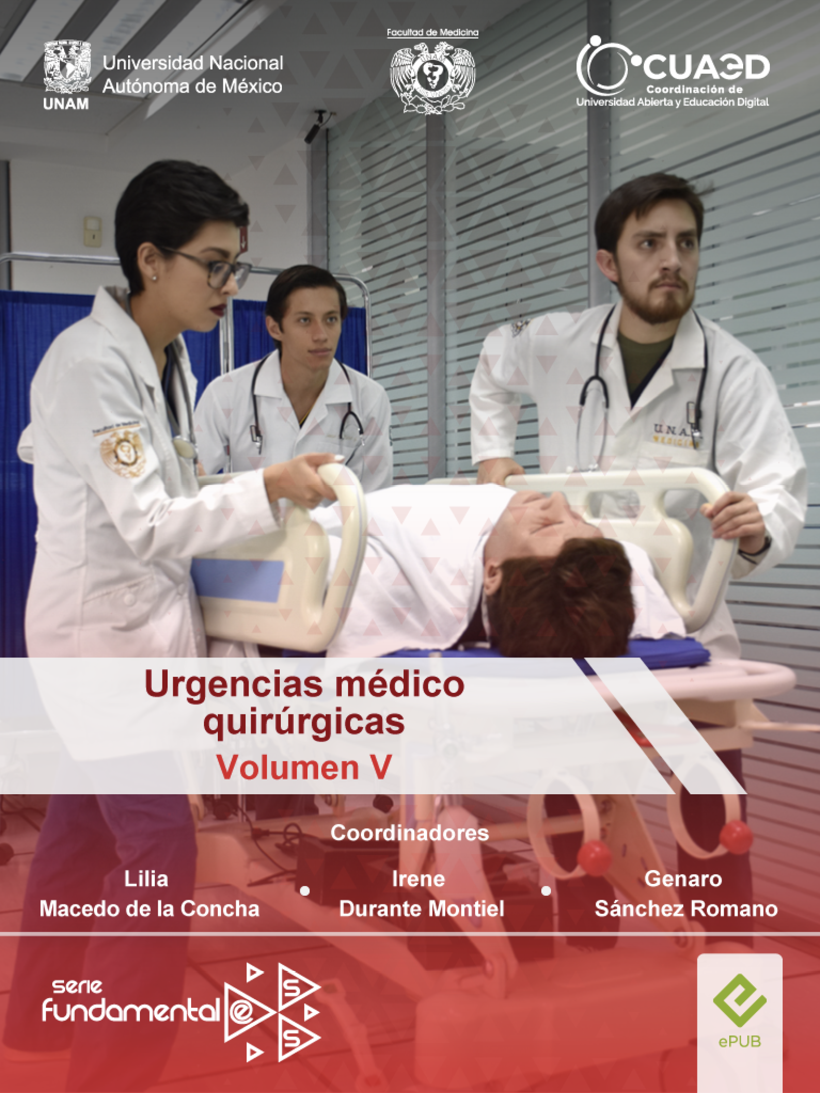 Imagen del curso