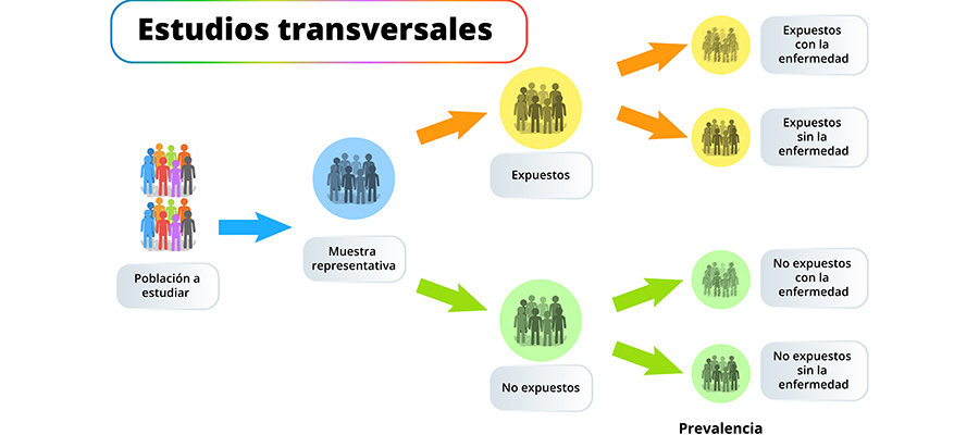 Imagen del curso